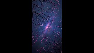 ✨🎶NIGHT SKY, STARS IN THE SKY, SKY, NIGHT, STARS✨🎶