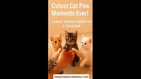 When a kitten extends its paw… 🐾🥹💕