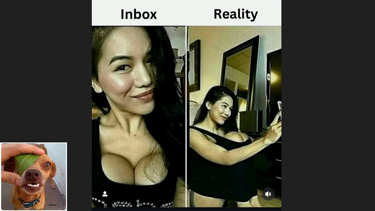 Memes That Will 99.0407% Make You Laugh. (e631)