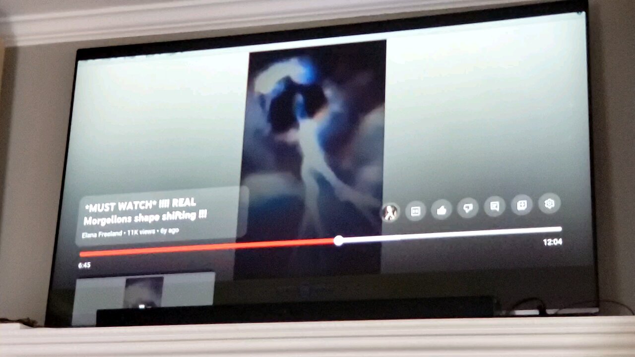 Megellons Smart Fibers Pt. 2