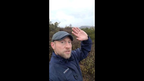 Astrology Week of Nov 16-22