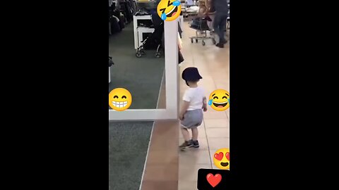 funny videos