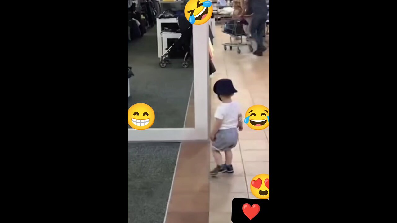 funny videos