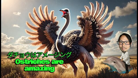 9.Stupid but amazing!? The secret of the world's strongest bird, the ostrich🦤🦤