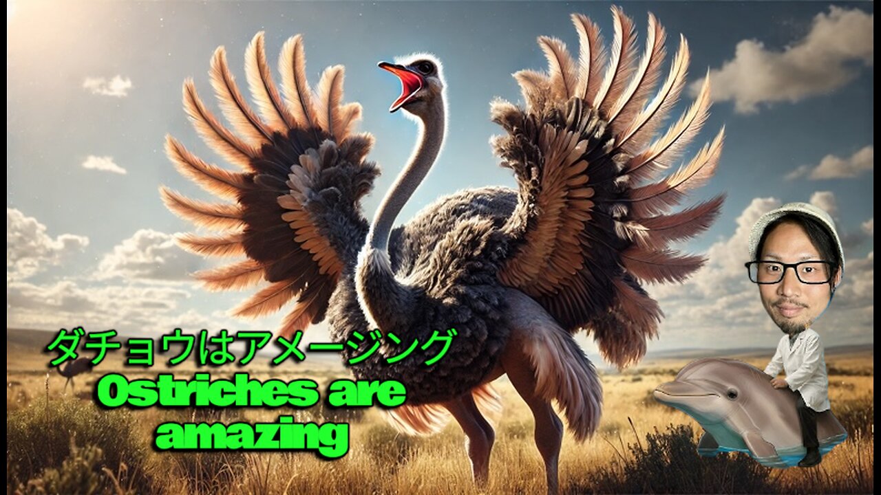 9.Stupid but amazing!? The secret of the world's strongest bird, the ostrich🦤🦤