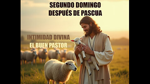 4 DE MAYO DOMINGO