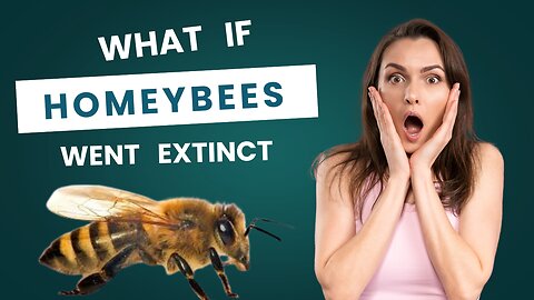 What If Honeybees Went Extinct? 🐝 The Alarming Truth You Need to Know!