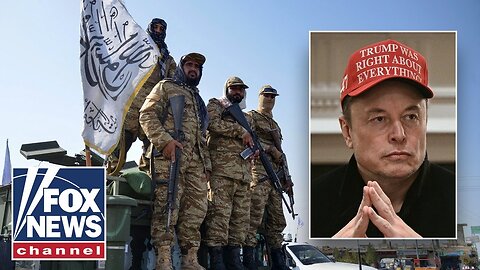 Musk, DOGE team find gov't contract with former Taliban member