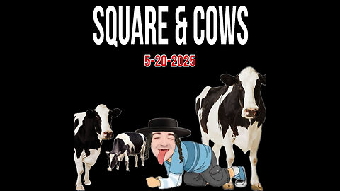 5-20-2025 Square & Cows