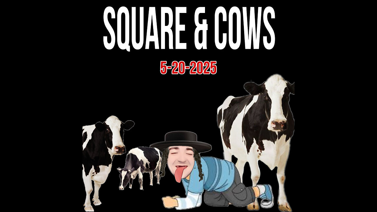 5-20-2025 Square & Cows