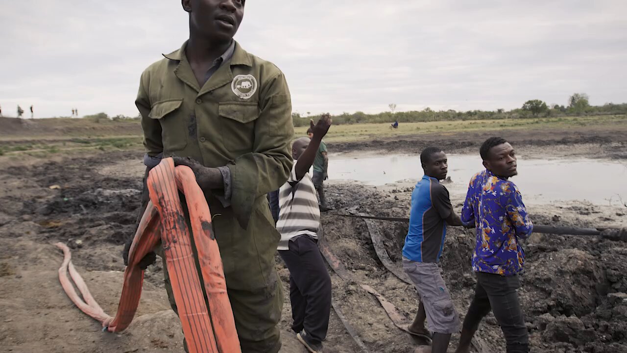 Miracle Rescue: Injured Elephant Freed & Returned to the Wild!"**