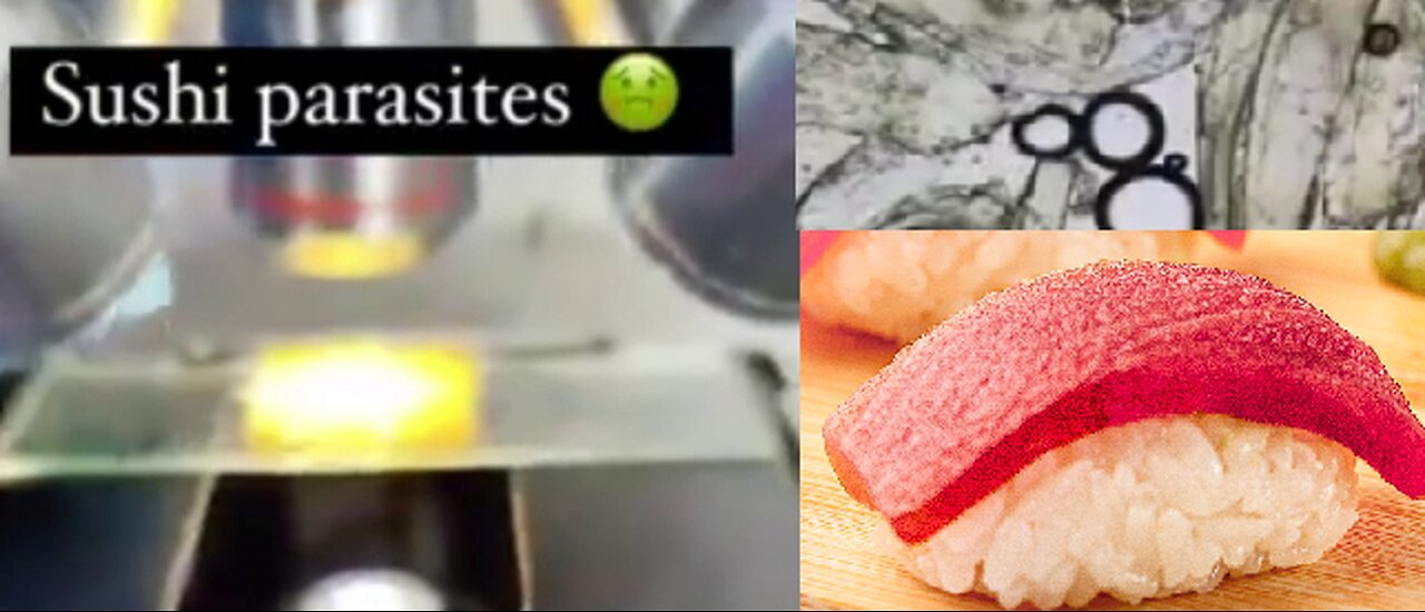 Rotten Tuna Turned into Fresh Tuna then Sold as Sushi