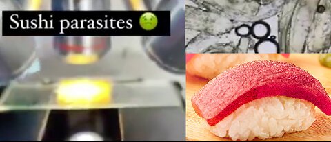 Rotten Tuna Turned into Fresh Tuna then Sold as Sushi