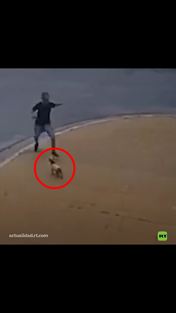 Detenido un hombre por patear con violencia a un perro en la calle