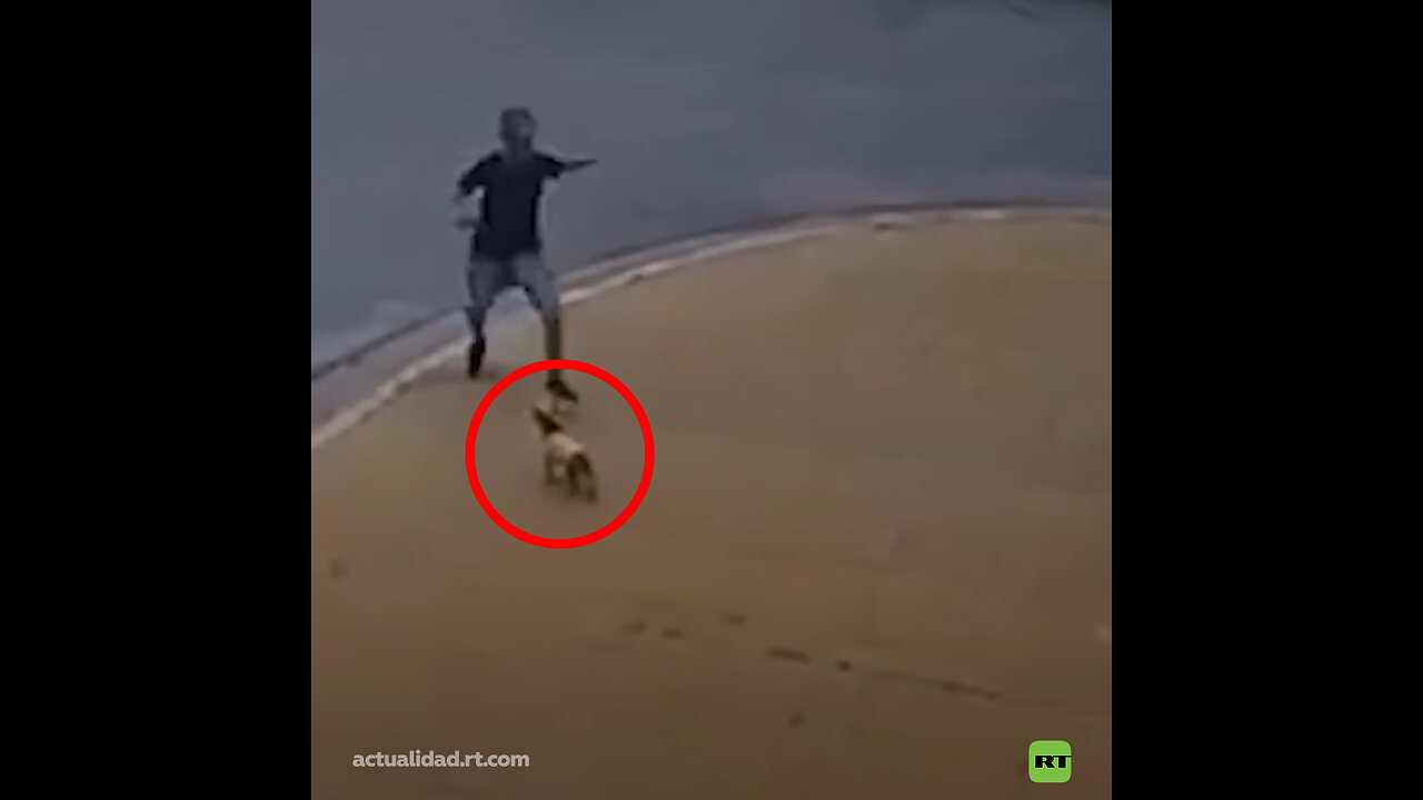 Detenido un hombre por patear con violencia a un perro en la calle