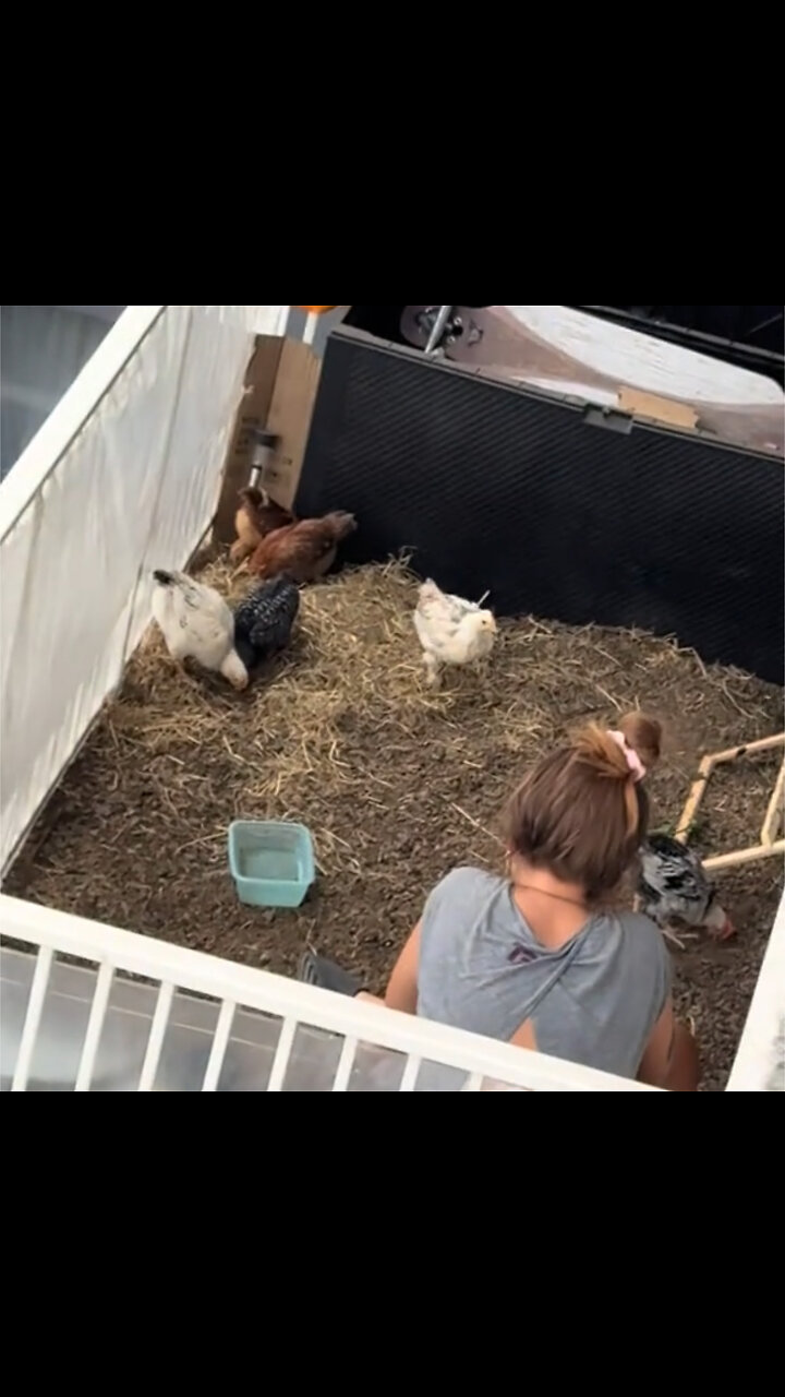 Cuando la vida del campo se instala en un balcón