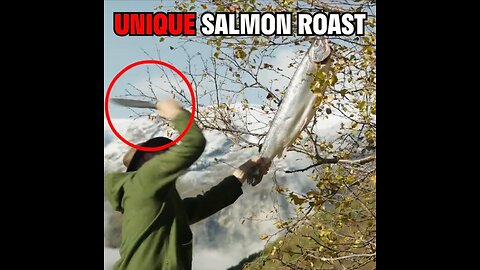 Unique Mountain Salmon R0ast mpz