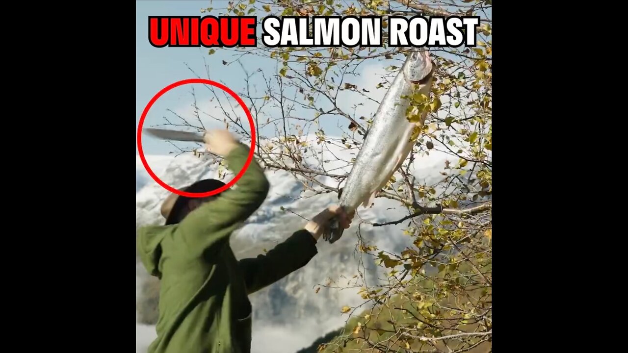 Unique Mountain Salmon R0ast mpz
