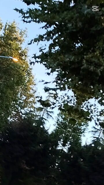 lampioni accesi a Magenta