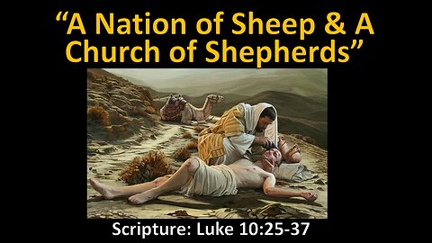 A Nation of Sheep & A Church of Shepherds