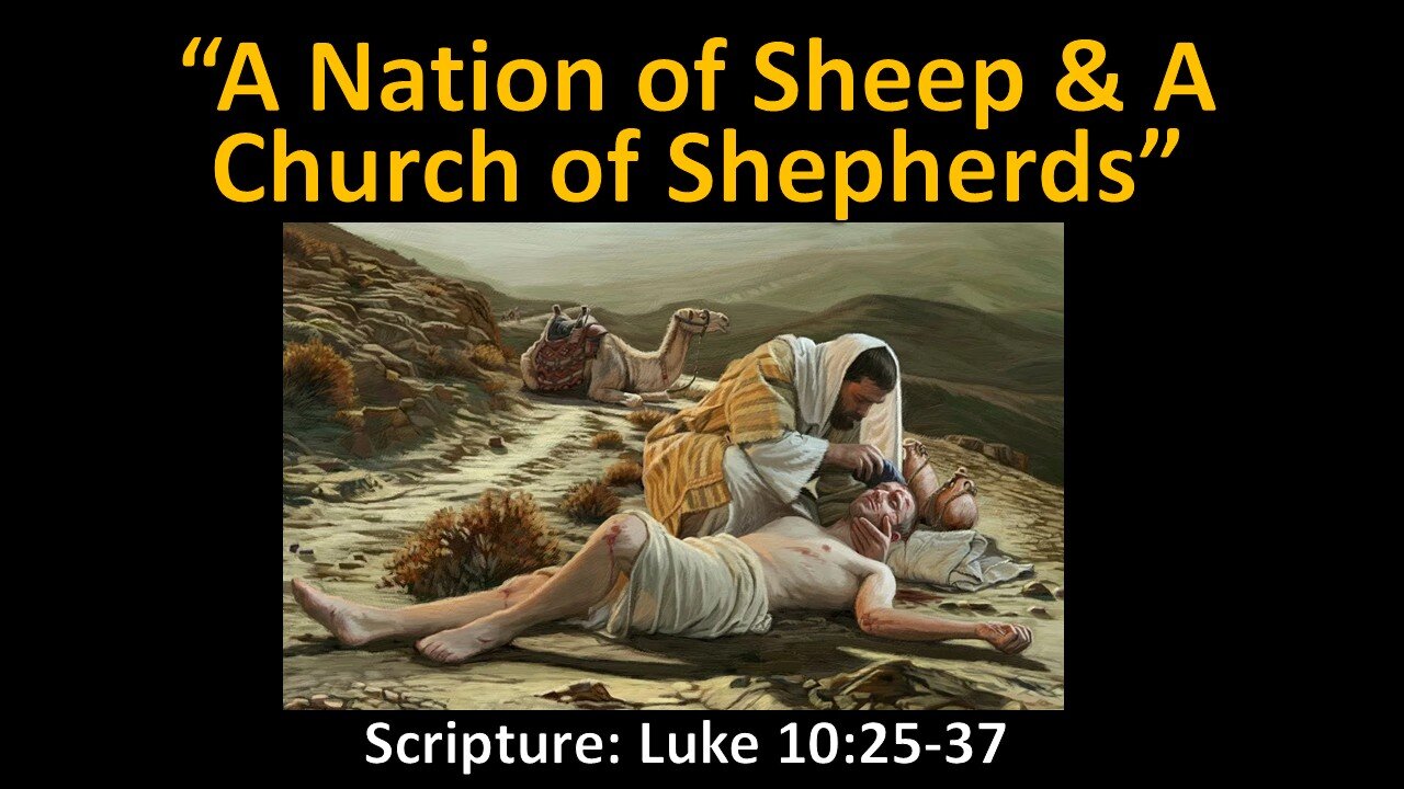 A Nation of Sheep & A Church of Shepherds