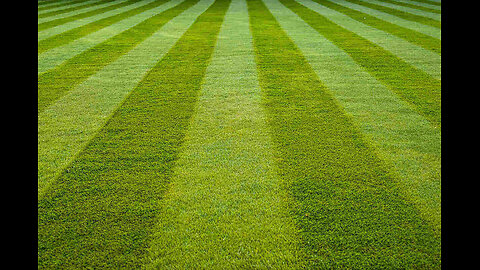Lawn Talk Live w/ Turf Nerds Podcast: Mowing Heatwave!