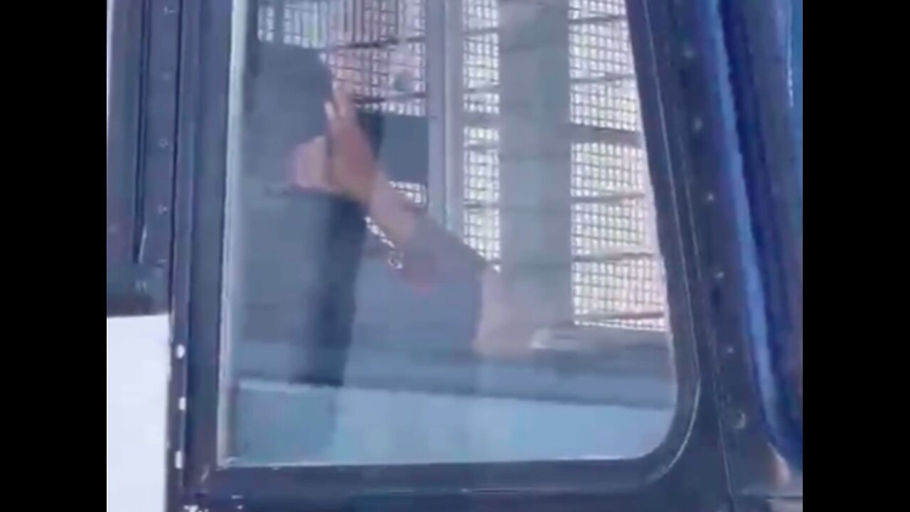 Dirty private contractor received over $28 million dollars to transport illegals