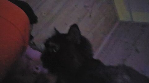 I had no idea until later that this was her saying goodbye..... 💔😭💔