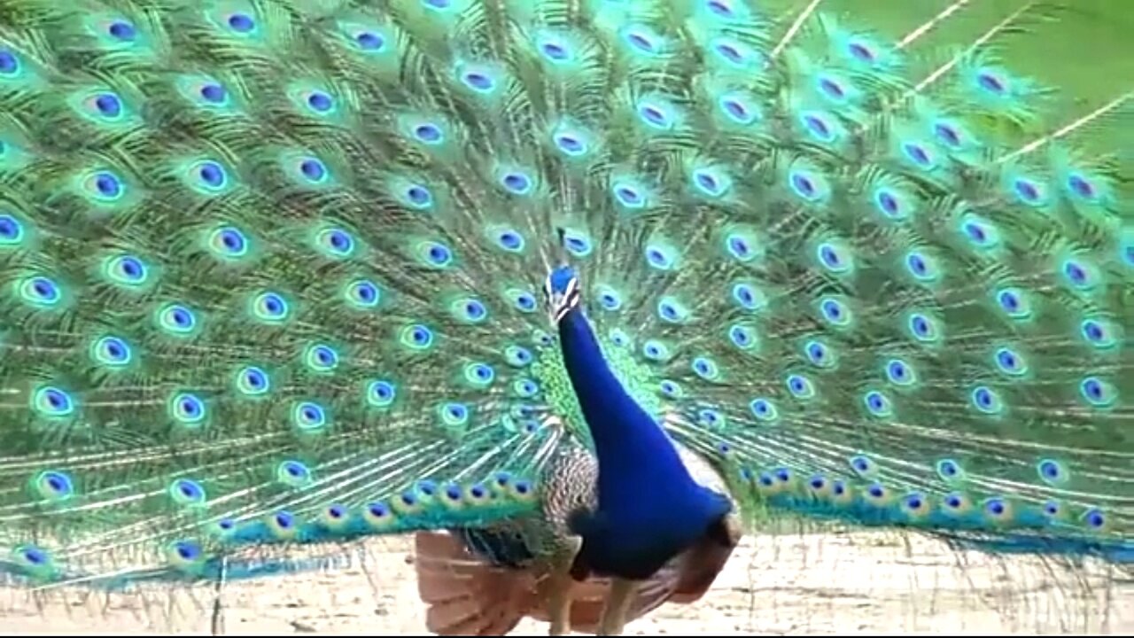 WHEN WE ARE LONELY - DAILY DEVOTIONAL ❤️