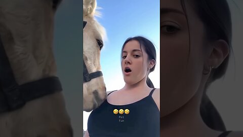 Funny Animals #funnyanimals #animals #pets #shorts