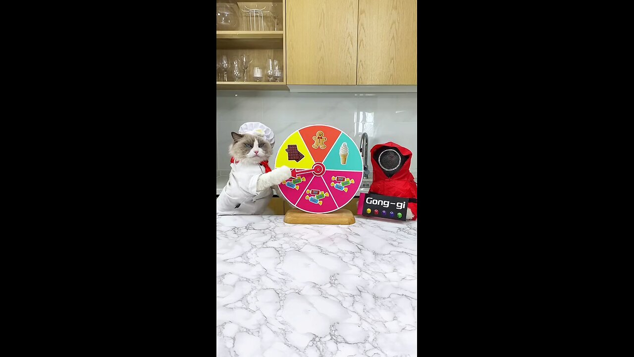 Respect Cats🐱
