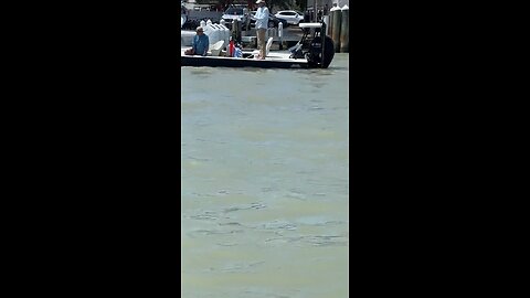 Livestream Replay | Tarpon Catch & Successful Release!