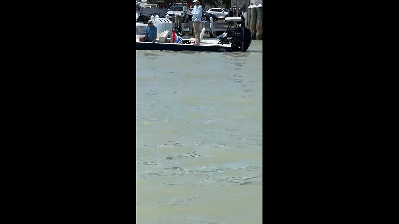 Livestream Replay | Tarpon Catch & Successful Release!