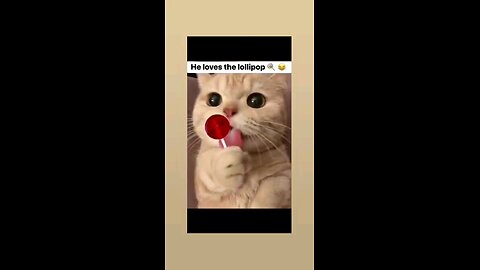 लवली विडिओ