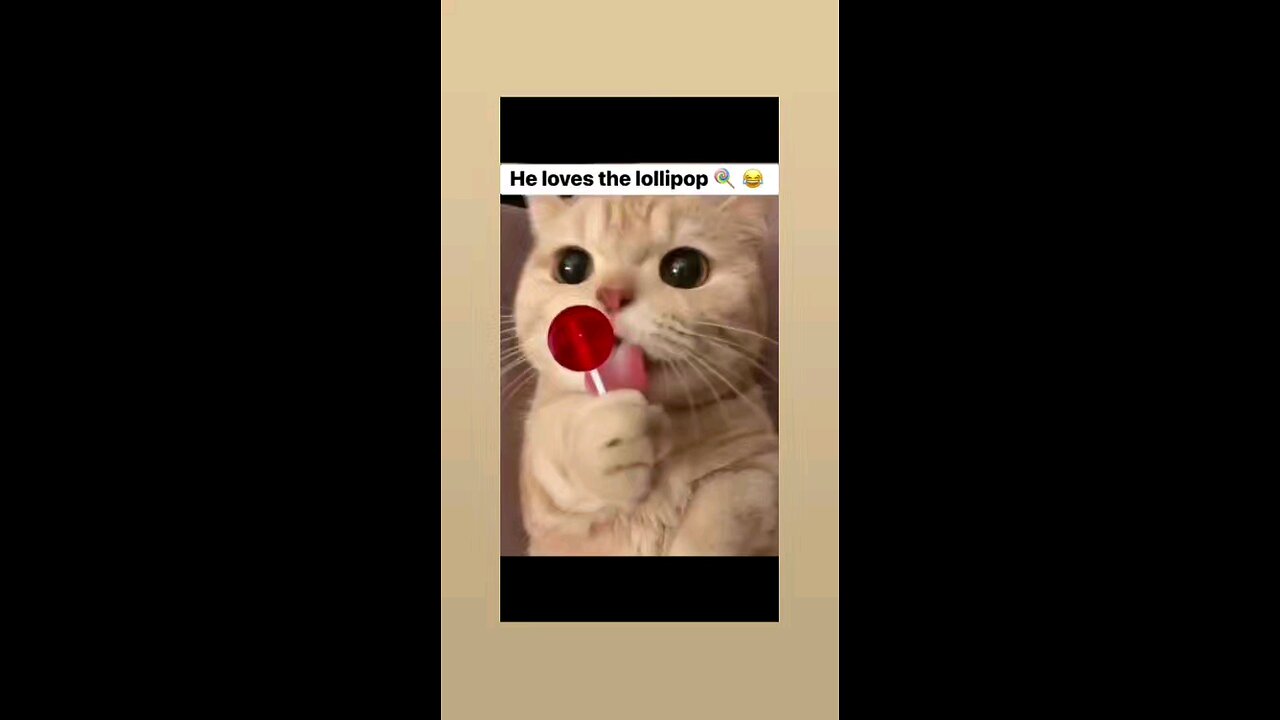 लवली विडिओ