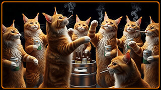 Operation #Caturday