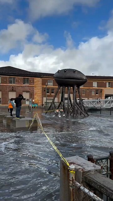 King Tides taking over the Embarcadero, San Francisco this morning.