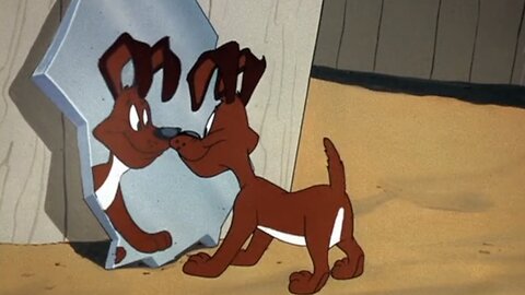 Left Turn At Albuquerque Episode 30 Looney Tunes Golden Collection Volume 3 Part 2-Discs 3 & 4