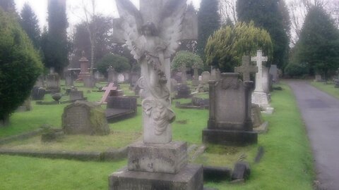 flat belly, 11 line abs, tiny waist & narrow ribcage ༉‧₊˚✧