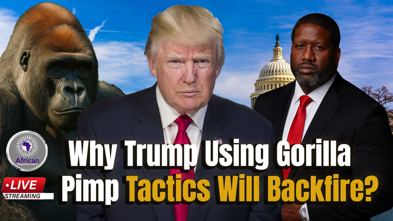 President Trump Thinks Using Gorilla Pimp Tactics Will Work In Washington DC, America Look Bad