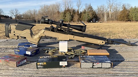 Springfield M1A Loaded - Is an old Battle Rifle still relevant today?