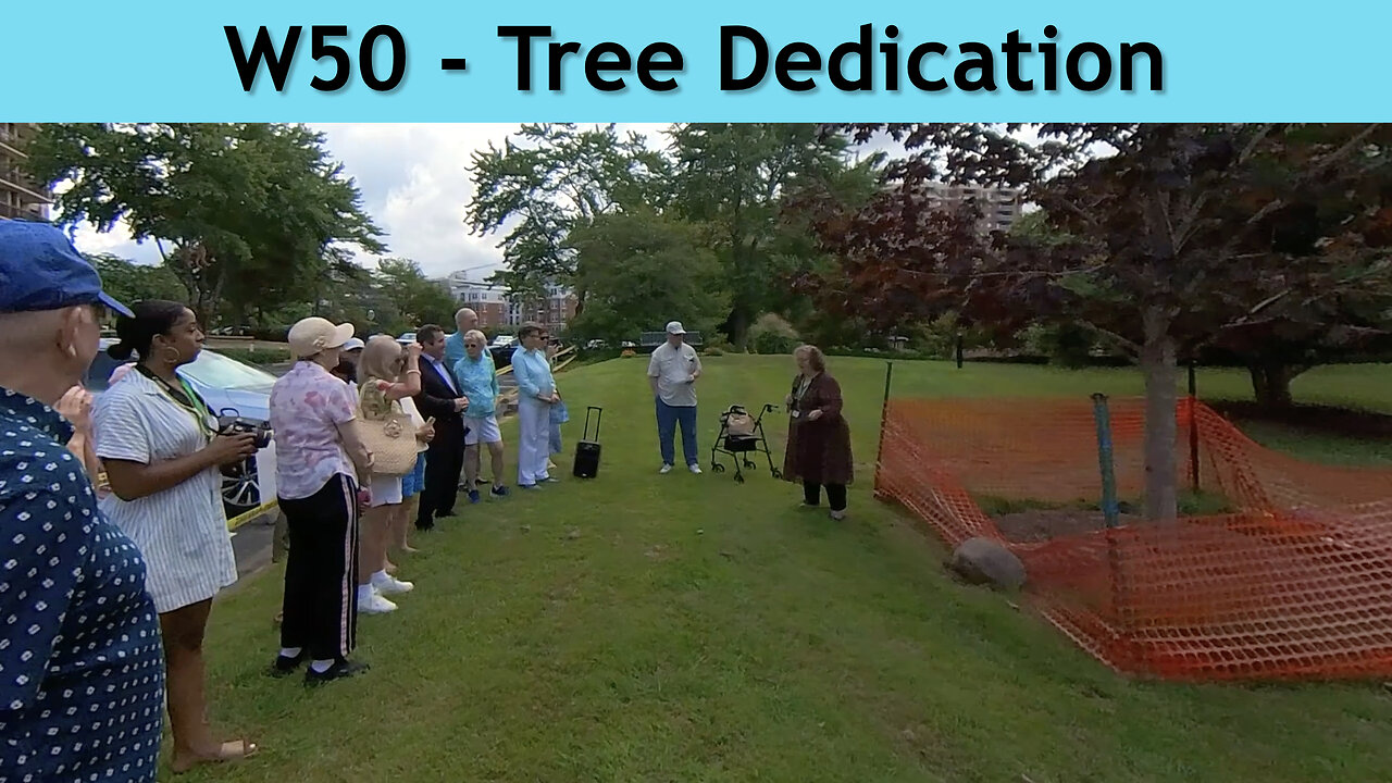 W50 – Tree dedication