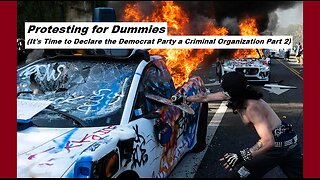 Protesting for Dummies