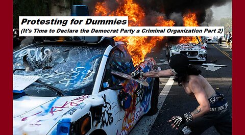 Protesting for Dummies