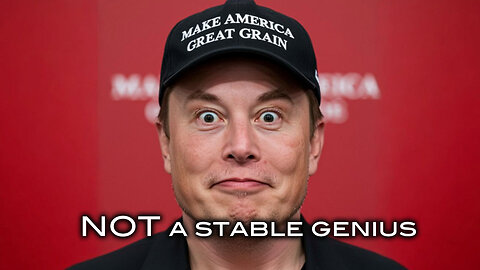 Elon Musk - NOT A Stable Genius