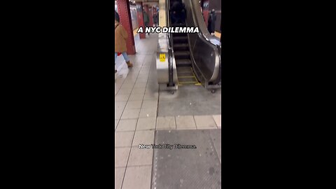 NYC Delimma
