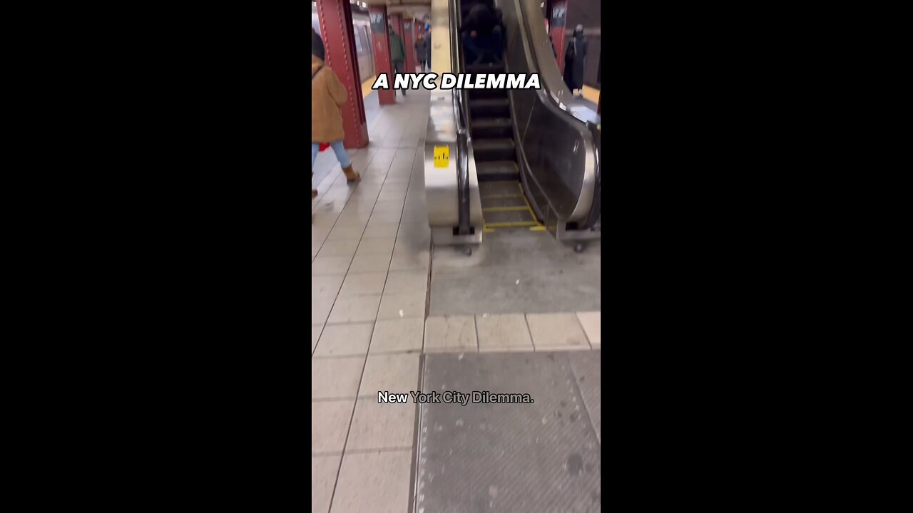 NYC Delimma