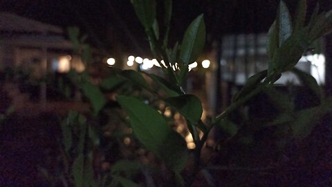 The sound of rain at night calms the atmosphere