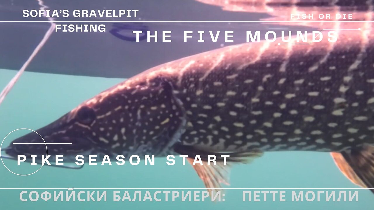 Щука по баластриерите - Pike at the gravelpits