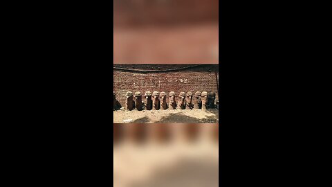 যুগে জড় জীব সবে পড়ে রবে নিবিড় অবেলায় #কলাভবন #arts